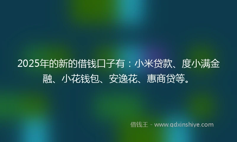 2025年的新的借钱口子有：小米贷款、度小满金融、小花钱包、安逸花、惠商贷等。