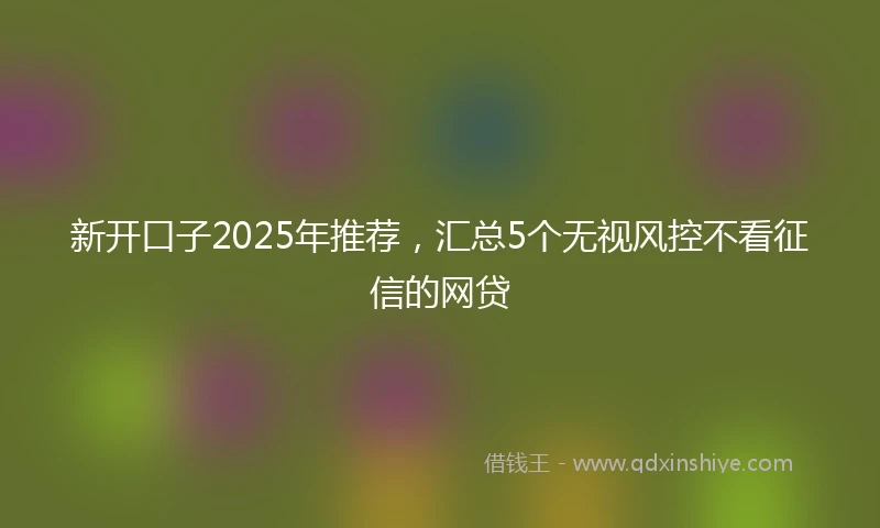 新开口子2025年推荐，汇总5个无视风控不看征信的网贷