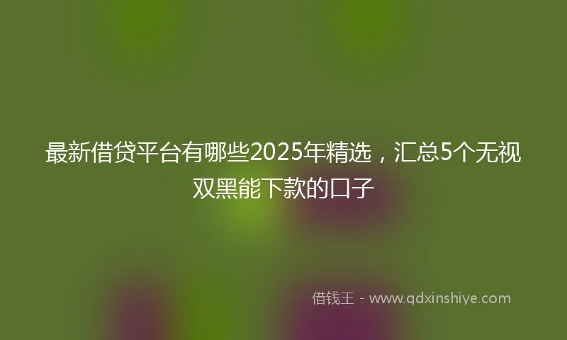 最新借贷平台有哪些2025年精选，汇总5个无视双黑能下款的口子