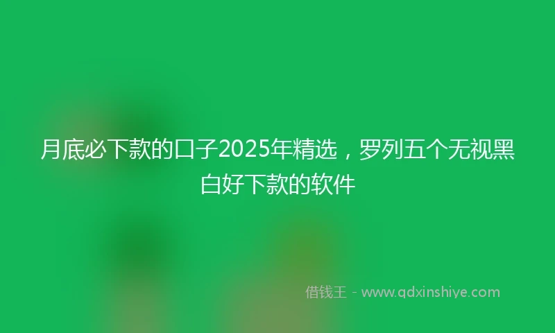 月底必下款的口子2025年精选，罗列五个无视黑白好下款的软件