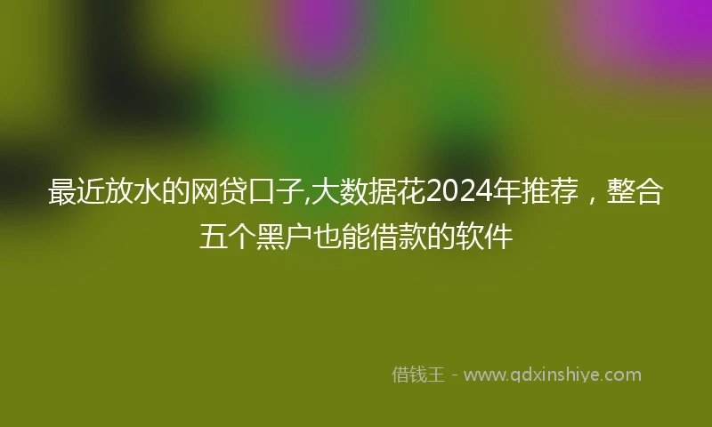 最近放水的网贷口子,大数据花2024年推荐，整合五个黑户也能借款的软件