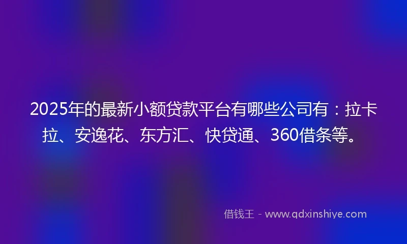 2025年的最新小额贷款平台有哪些公司有：拉卡拉、安逸花、东方汇、快贷通、360借条等。