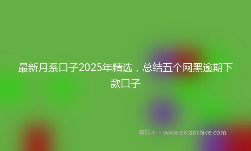 最新月系口子2025年精选，总结五个网黑逾期下款口子