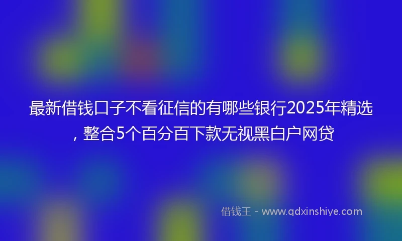 最新借钱口子不看征信的有哪些银行2025年精选，整合5个百分百下款无视黑白户网贷