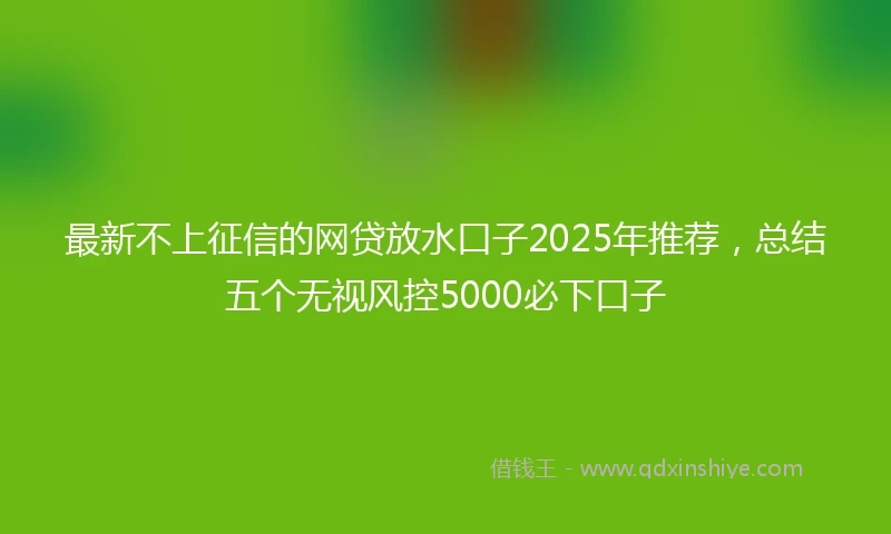 最新不上征信的网贷放水口子2025年推荐，总结五个无视风控5000必下口子