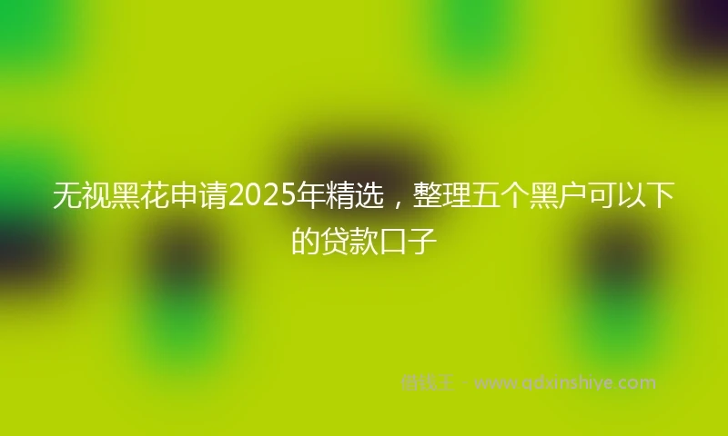 无视黑花申请2025年精选，整理五个黑户可以下的贷款口子