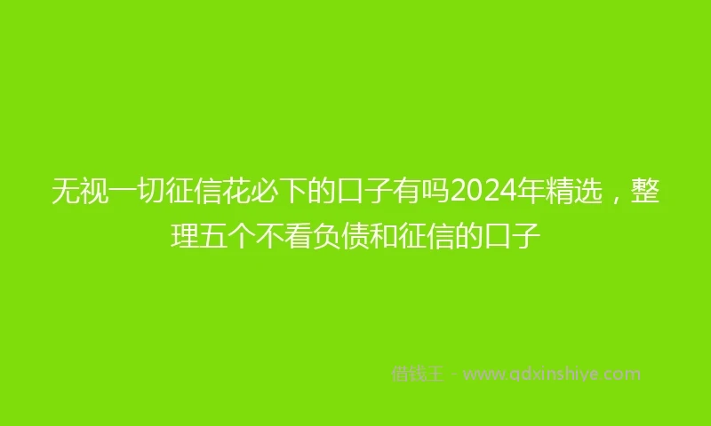 无视一切征信花必下的口子有吗2024年精选，整理五个不看负债和征信的口子