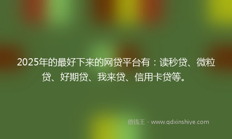2025年的最好下来的网贷平台有：读秒贷、微粒贷、好期贷、我来贷、信用卡贷等。
