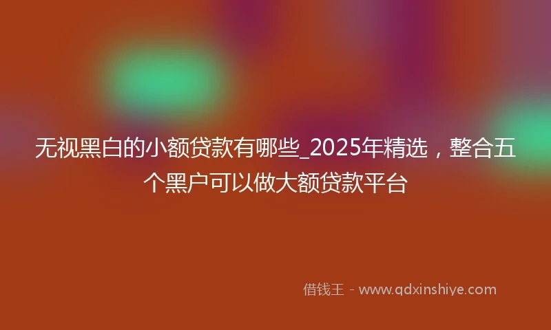 无视黑白的小额贷款有哪些_2025年精选，整合五个黑户可以做大额贷款平台