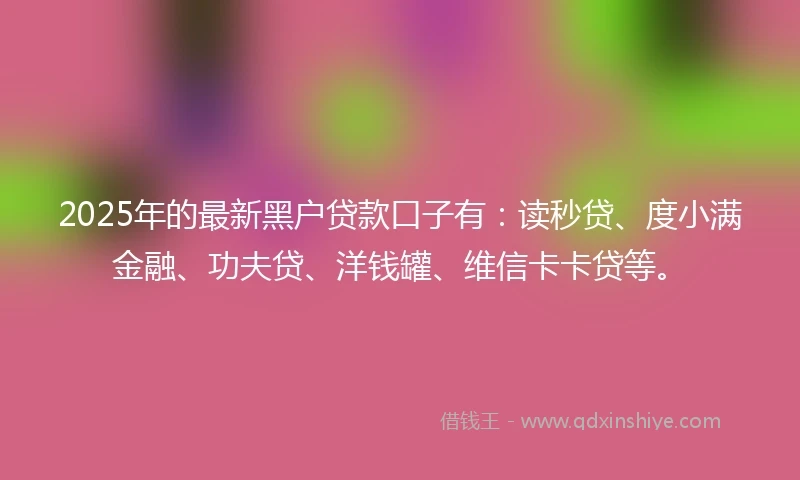 2025年的最新黑户贷款口子有：读秒贷、度小满金融、功夫贷、洋钱罐、维信卡卡贷等。