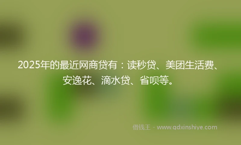 2025年的最近网商贷有：读秒贷、美团生活费、安逸花、滴水贷、省呗等。