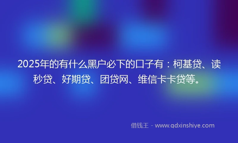 2025年的有什么黑户必下的口子有：柯基贷、读秒贷、好期贷、团贷网、维信卡卡贷等。