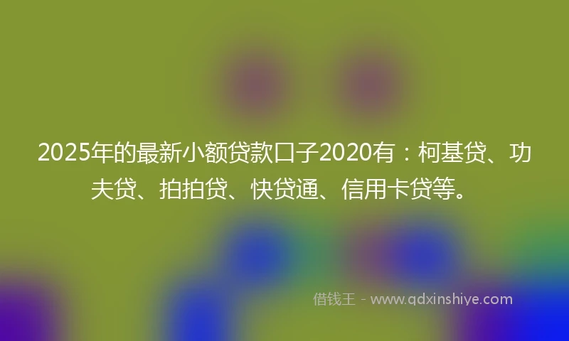 2025年的最新小额贷款口子2020有：柯基贷、功夫贷、拍拍贷、快贷通、信用卡贷等。