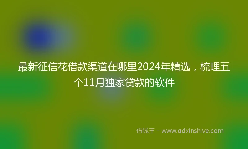 最新征信花借款渠道在哪里2024年精选，梳理五个11月独家贷款的软件