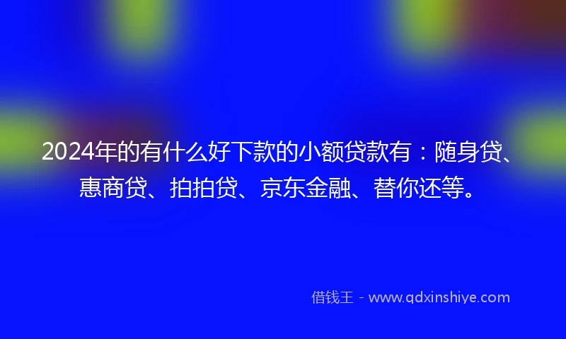 2024年的有什么好下款的小额贷款有：随身贷、惠商贷、拍拍贷、京东金融、替你还等。