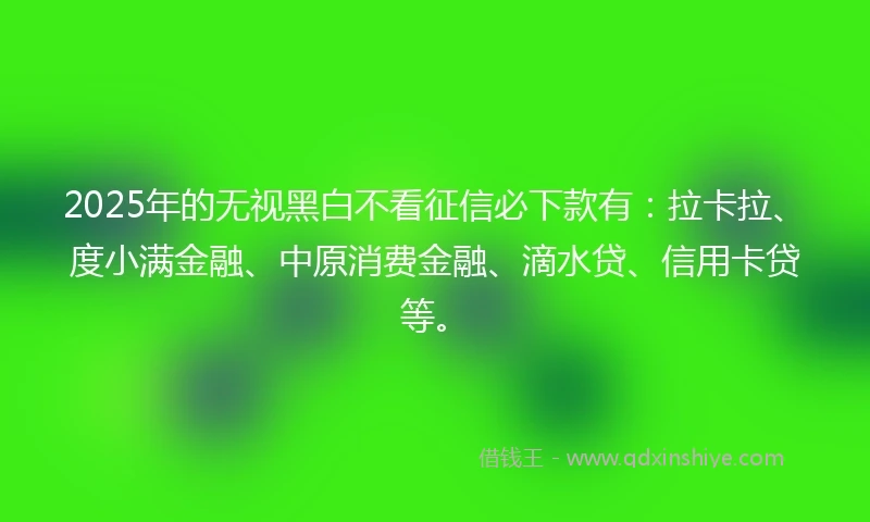 2025年的无视黑白不看征信必下款有：拉卡拉、度小满金融、中原消费金融、滴水贷、信用卡贷等。