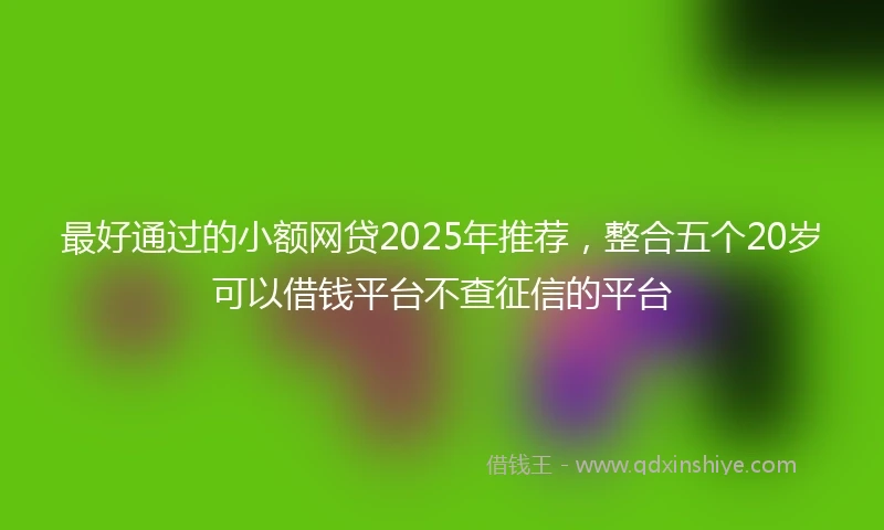 最好通过的小额网贷2025年推荐，整合五个20岁可以借钱平台不查征信的平台