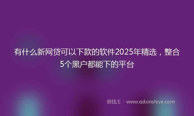 有什么新网贷可以下款的软件2025年精选，整合5个黑户都能下的平台
