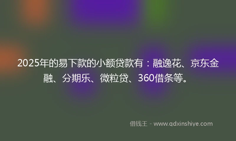 2025年的易下款的小额贷款有：融逸花、京东金融、分期乐、微粒贷、360借条等。