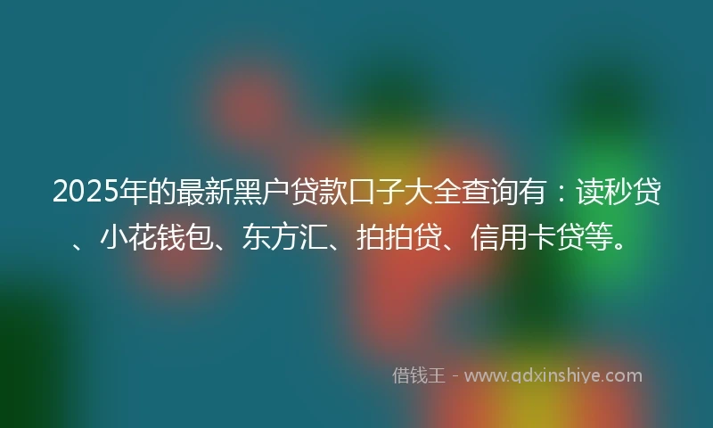 2025年的最新黑户贷款口子大全查询有：读秒贷、小花钱包、东方汇、拍拍贷、信用卡贷等。