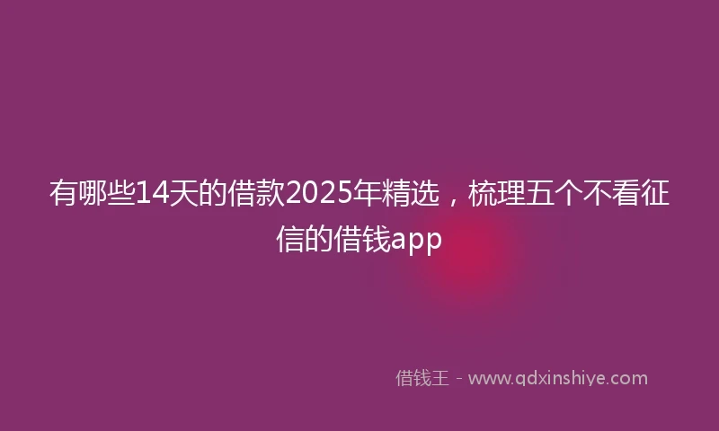 有哪些14天的借款2025年精选，梳理五个不看征信的借钱app