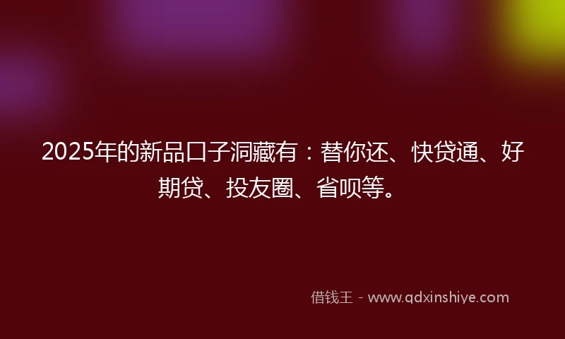 2025年的新品口子洞藏有：替你还、快贷通、好期贷、投友圈、省呗等。