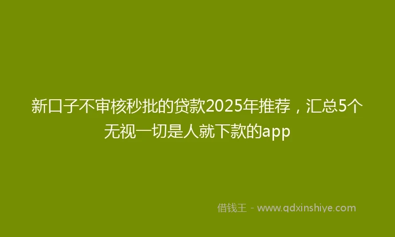新口子不审核秒批的贷款2025年推荐，汇总5个无视一切是人就下款的app