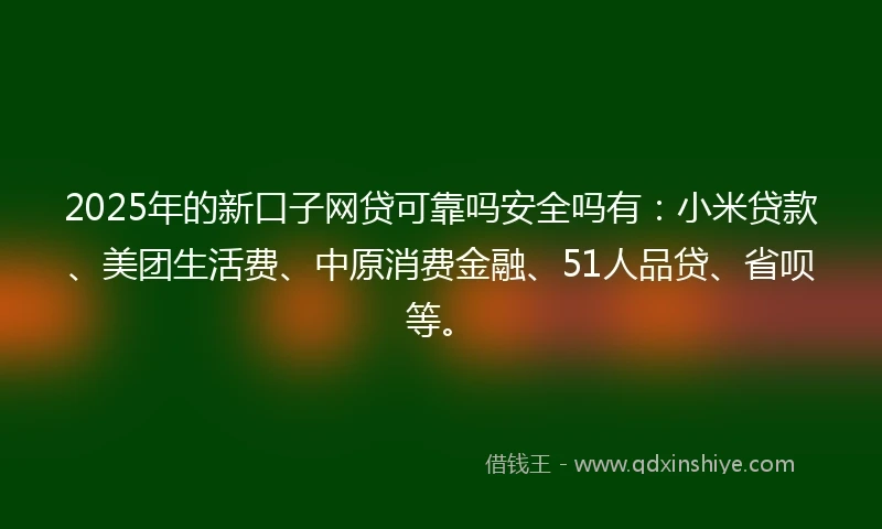 2025年的新口子网贷可靠吗安全吗有：小米贷款、美团生活费、中原消费金融、51人品贷、省呗等。