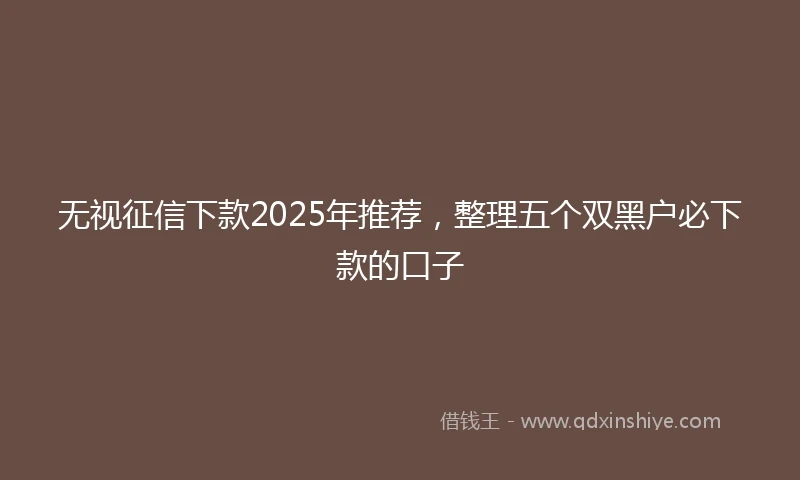 无视征信下款2025年推荐,整理五个双黑户必下款的口子