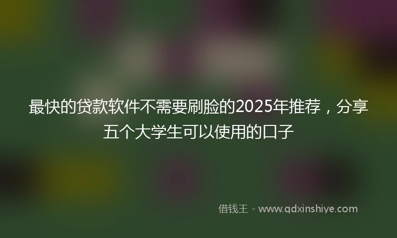 最快的贷款软件不需要刷脸的2025年推荐，分享五个大学生可以使用的口子