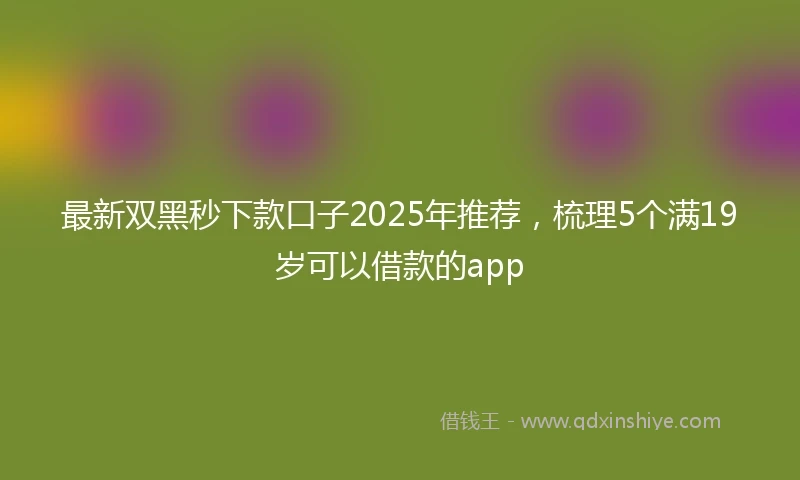 最新双黑秒下款口子2025年推荐，梳理5个满19岁可以借款的app