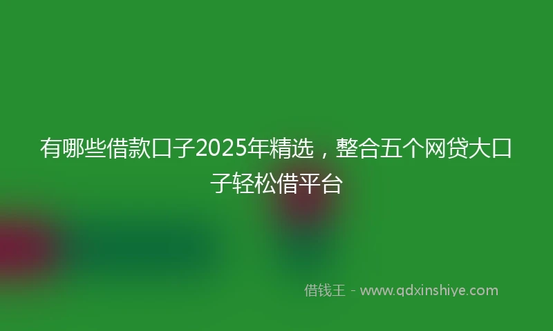 有哪些借款口子2025年精选，整合五个网贷大口子轻松借平台