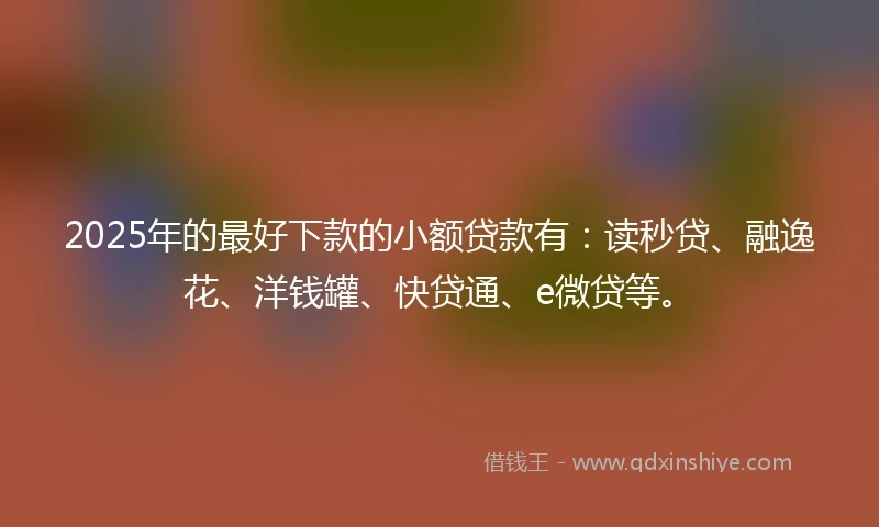 2025年的最好下款的小额贷款有：读秒贷、融逸花、洋钱罐、快贷通、e微贷等。