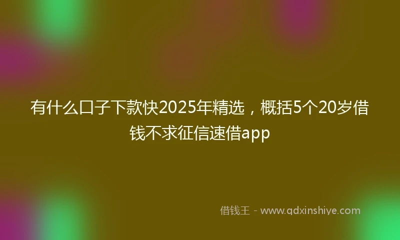 有什么口子下款快2025年精选,概括5个20岁借钱不求征信速借app