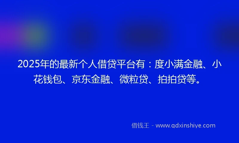 2025年的最新个人借贷平台有：度小满金融、小花钱包、京东金融、微粒贷、拍拍贷等。
