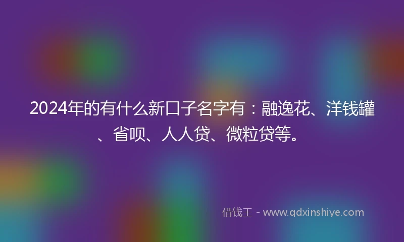 2024年的有什么新口子名字有：融逸花、洋钱罐、省呗、人人贷、微粒贷等。
