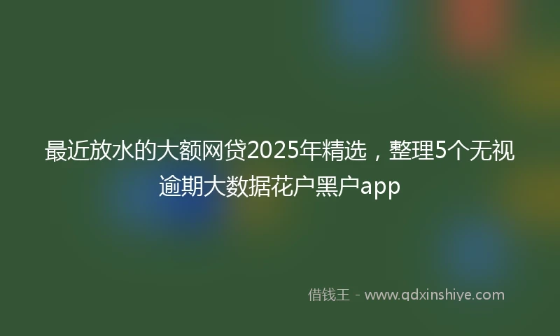 最近放水的大额网贷2025年精选，整理5个无视逾期大数据花户黑户app
