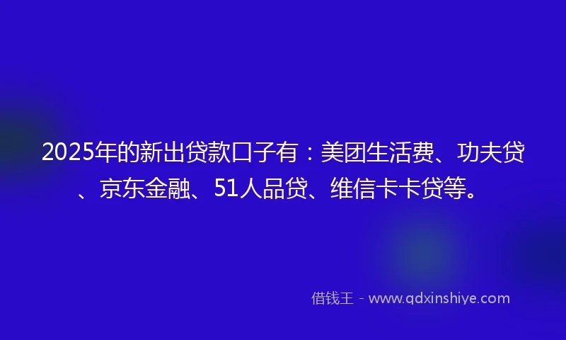 2025年的新出贷款口子有：美团生活费、功夫贷、京东金融、51人品贷、维信卡卡贷等。