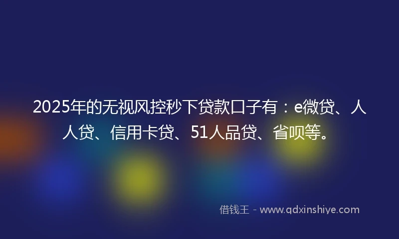 2025年的无视风控秒下贷款口子有：e微贷、人人贷、信用卡贷、51人品贷、省呗等。