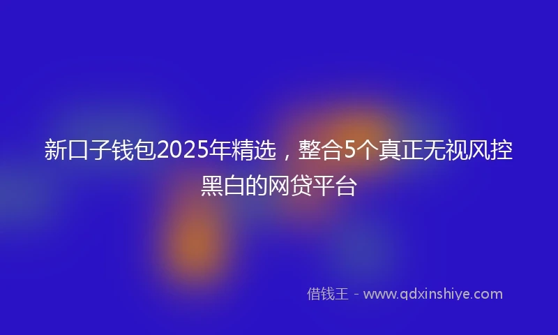 新口子钱包2025年精选，整合5个真正无视风控黑白的网贷平台