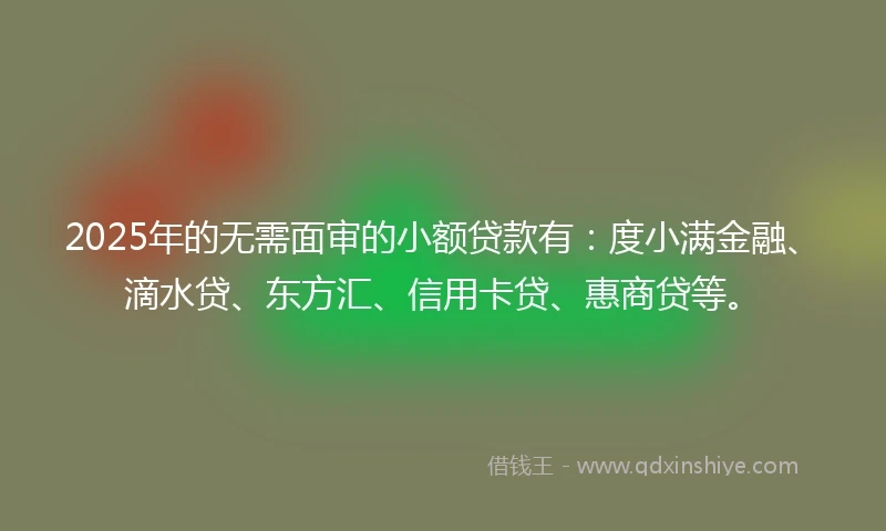 2025年的无需面审的小额贷款有：度小满金融、滴水贷、东方汇、信用卡贷、惠商贷等。