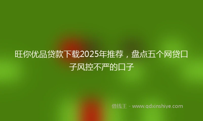 旺你优品贷款下载2025年推荐，盘点五个网贷口子风控不严的口子