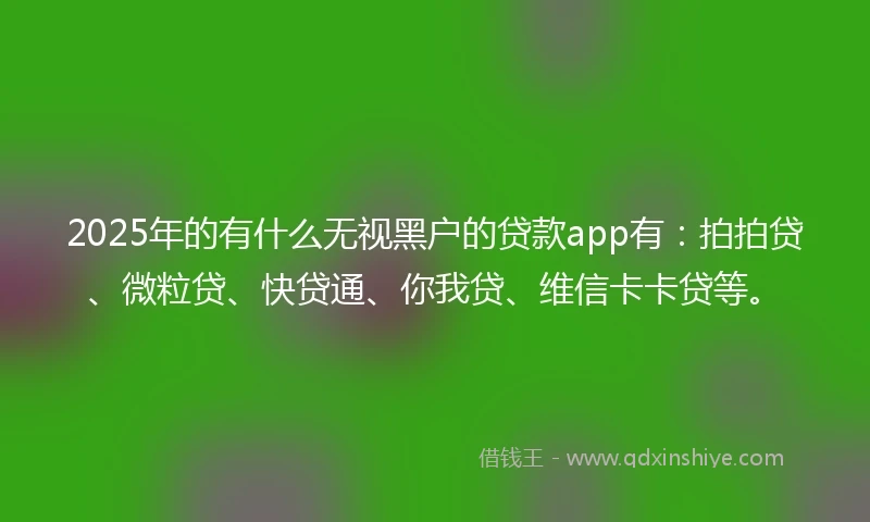 2025年的有什么无视黑户的贷款app有：拍拍贷、微粒贷、快贷通、你我贷、维信卡卡贷等。