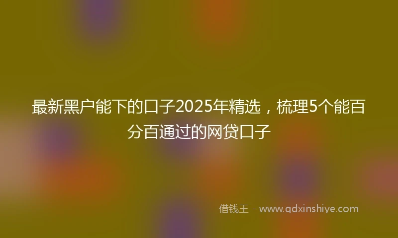 最新黑户能下的口子2025年精选，梳理5个能百分百通过的网贷口子