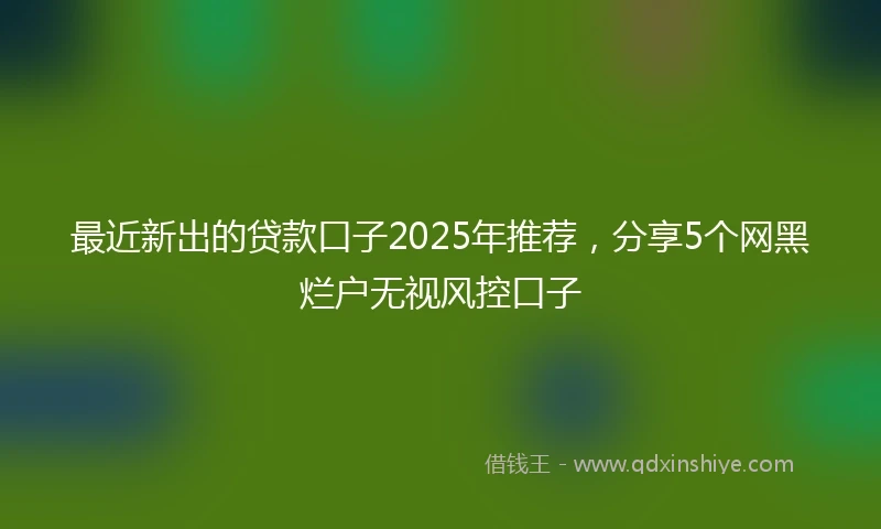 最近新出的贷款口子2025年推荐，分享5个网黑烂户无视风控口子