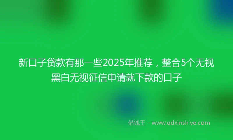 新口子贷款有那一些2025年推荐，整合5个无视黑白无视征信申请就下款的口子