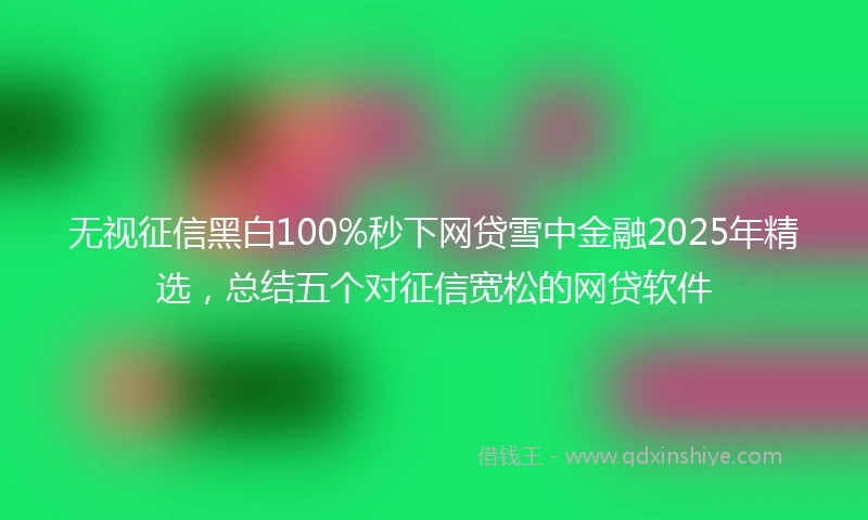 无视征信黑白100%秒下网贷雪中金融2025年精选，总结五个对征信宽松的网贷软件