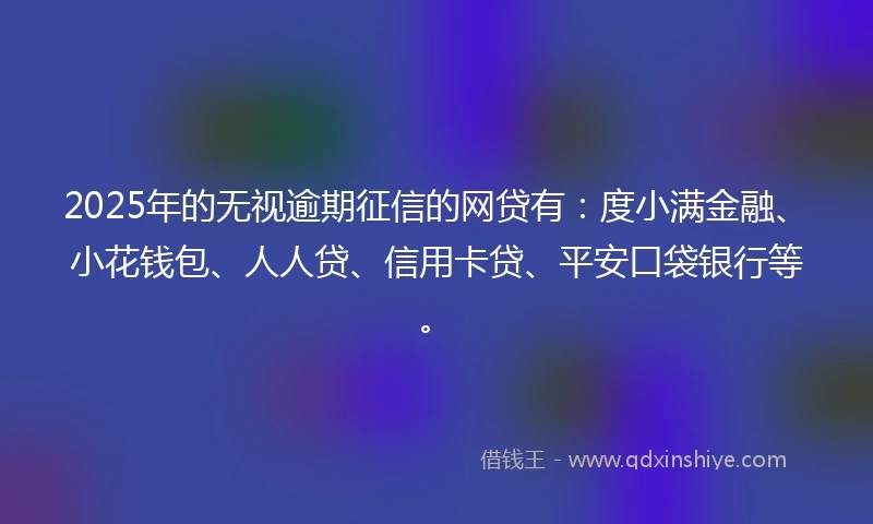 2025年的无视逾期征信的网贷有：度小满金融、小花钱包、人人贷、信用卡贷、平安口袋银行等。