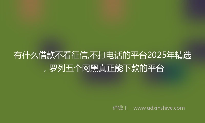 有什么借款不看征信,不打电话的平台2025年精选，罗列五个网黑真正能下款的平台