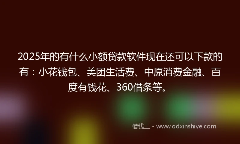 2025年的有什么小额贷款软件现在还可以下款的有：小花钱包、美团生活费、中原消费金融、百度有钱花、360借条等。